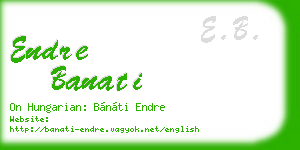 endre banati business card